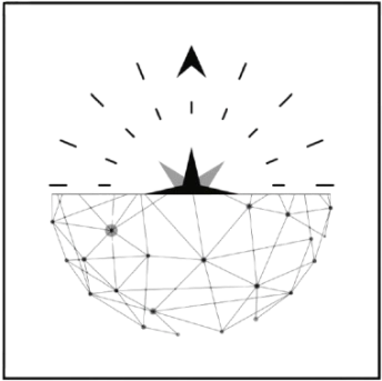 nuespark-global-trading-private-limited